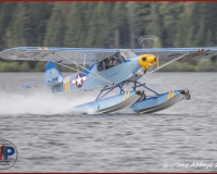 TSR Watermark - 0298